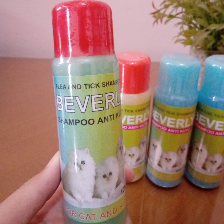 BEVERLY CAT 125 ML - SHAMPO KUCING ANTI KUTU ANTI FLEA TICK BEVERLY CAT 125ML