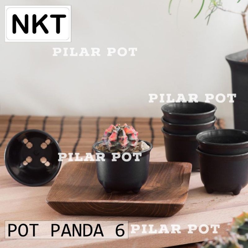 pot bunga tanaman mini nkt panda 06 warna warni 6cm - nkt mini