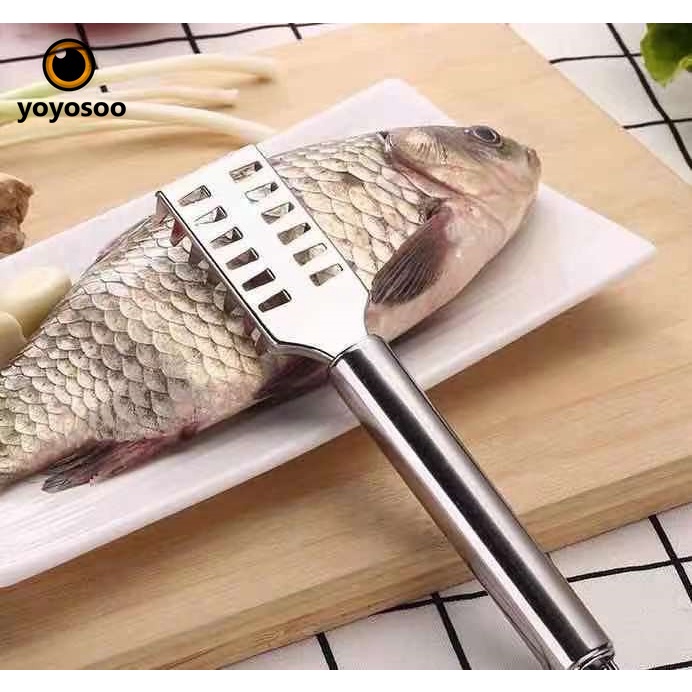 Pembersih Sisik Ikan PLASTIK / Stainless Serutan Pisau Sisik Ikan  yoyosoo