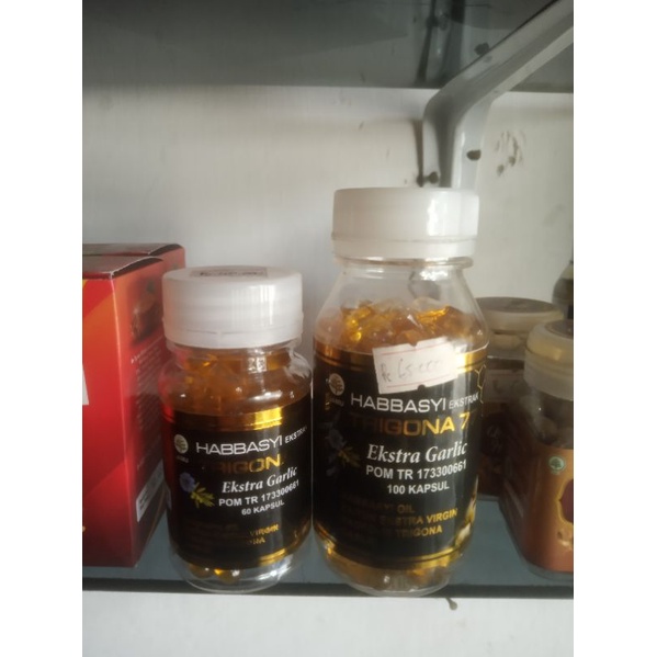 Habbatussauda trigona 77