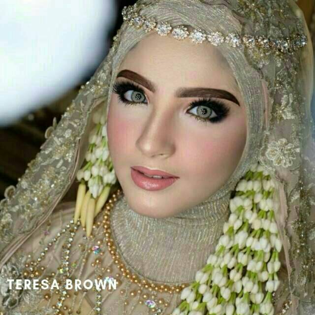 Softlens Teresa Kemasan Botol DC1 by Dreamcolor 1 soflen Grey Brown lensa kontak