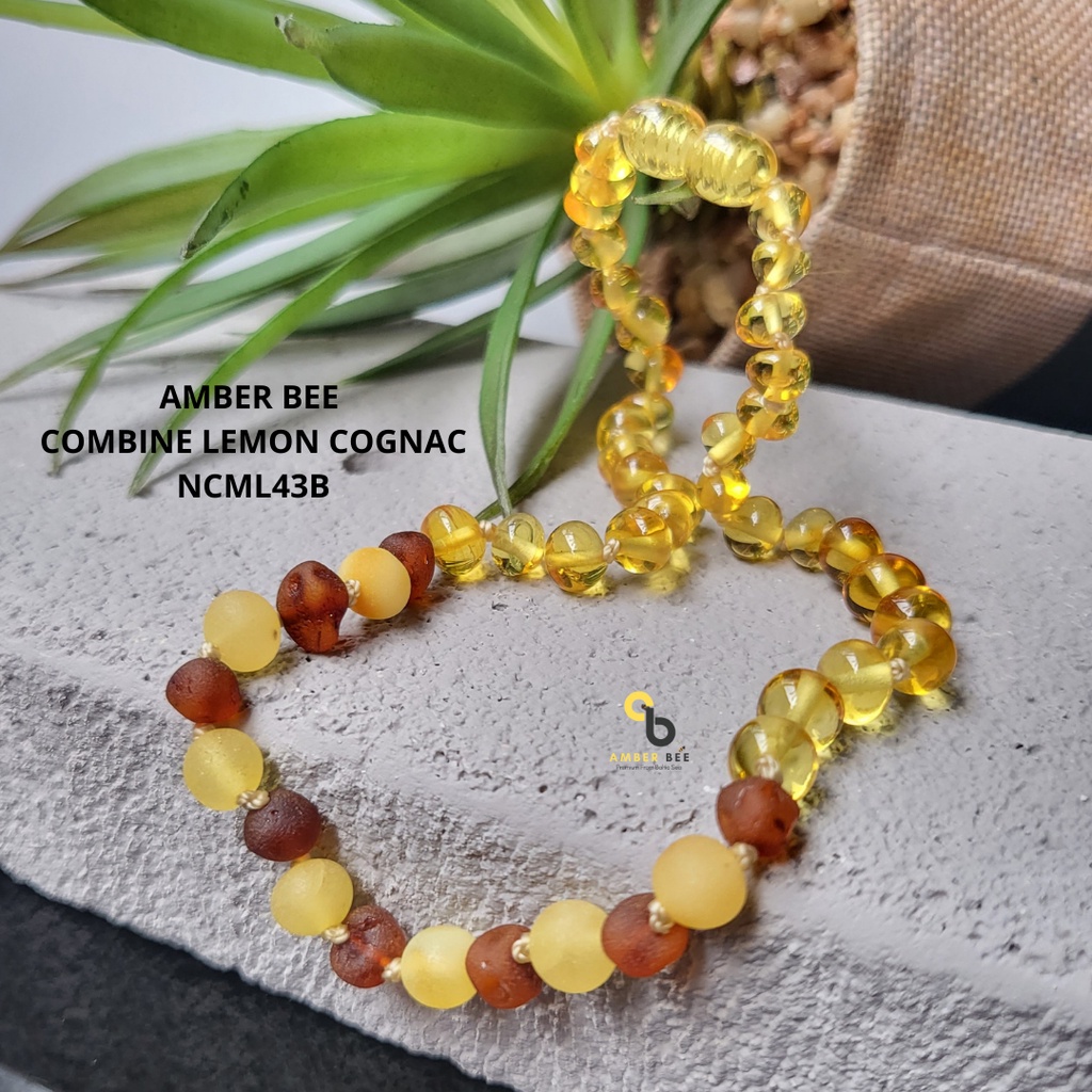 Kalung Amber Baltic Anak Premium Combine Lemon NCML43B By Amber Bee