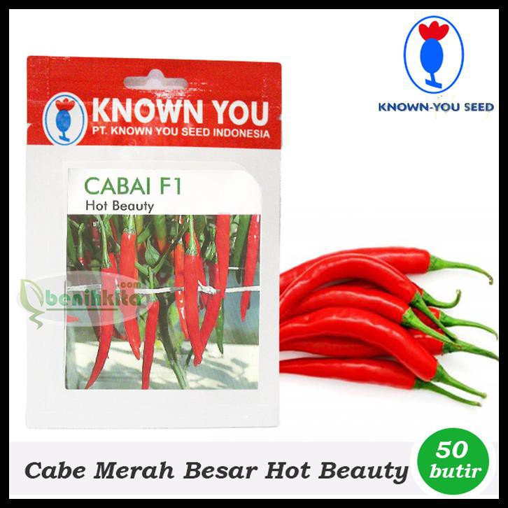 BENIH/BIBIT CABE MERAH BESAR HOT BEAUTY F1 (KNOWN YOU SEED)