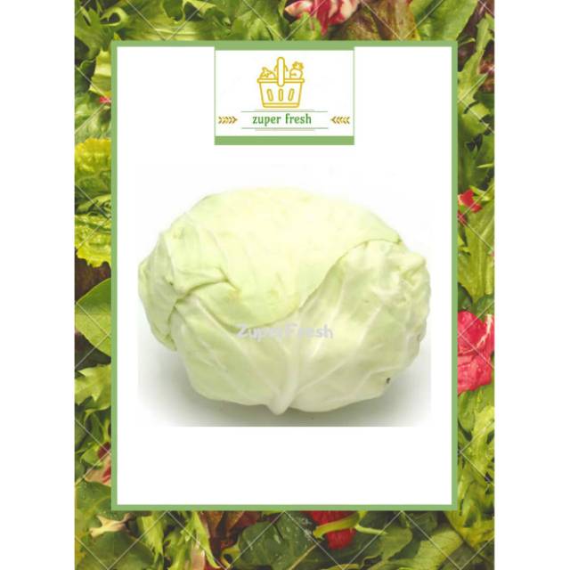 

SAYUR SEGARKUBIS / KOL