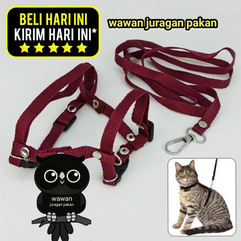 TALI TUNTUN KUCING, HARNESS