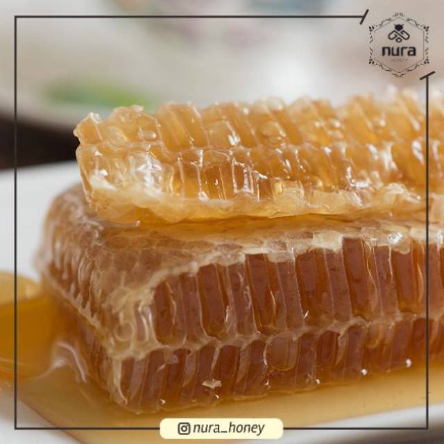 

SARANG MADU NuRA MELIFERA 500GR - 600GR / Nura Honeycomb / Madu Asli Murni Mentah / Nura Honey / nurahoney