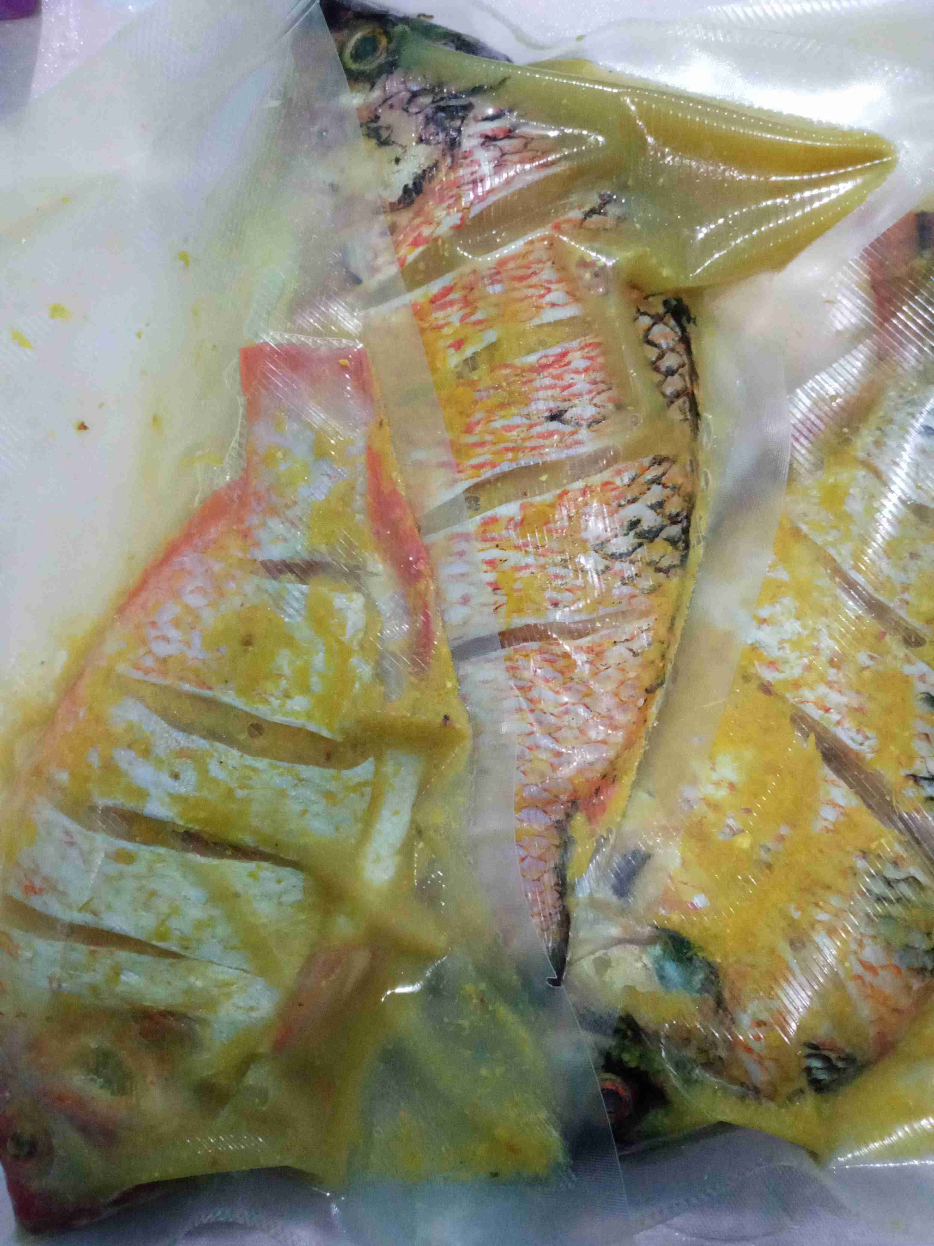 Vacuum Sealer Plastic Ronegye Plastik Vakum Lembaran Double Emboss