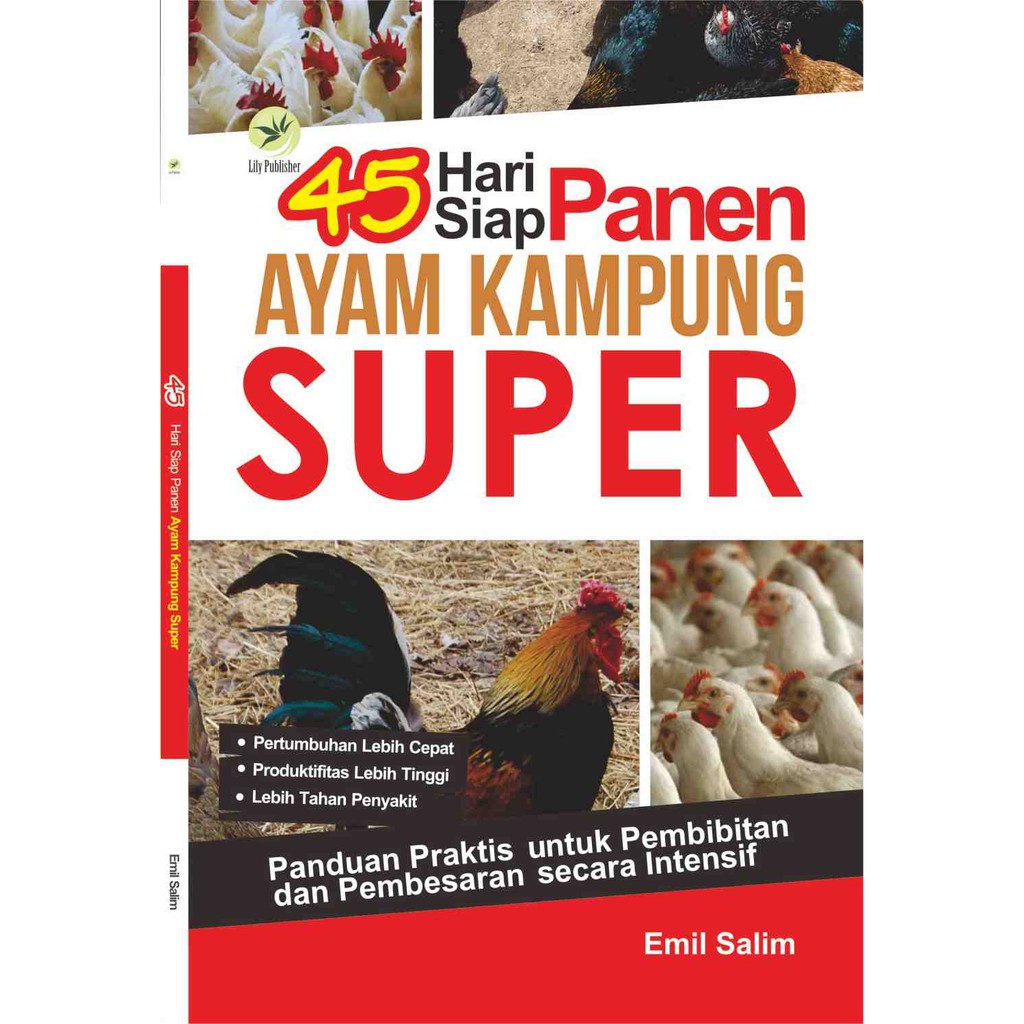 45 Hari Siap Panen Ayam Kampung Super, Panduan Praktis Untuk Pembibitan Dan Pembesaran Secara Intens
