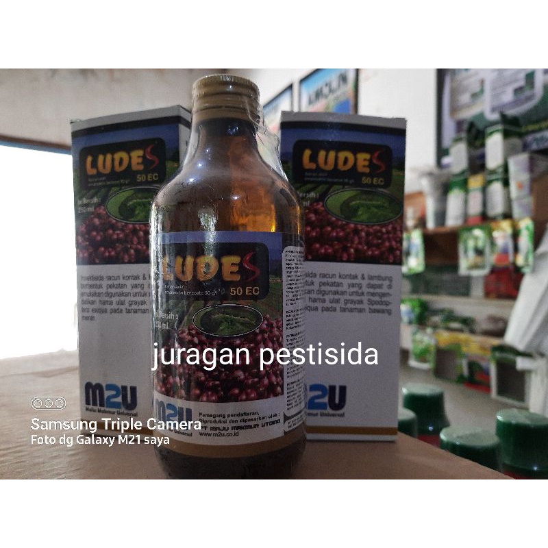 Insektisida Ludes 250ml