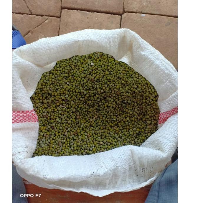

Terbaru! Kacang Hijau Lokal 1kg ~