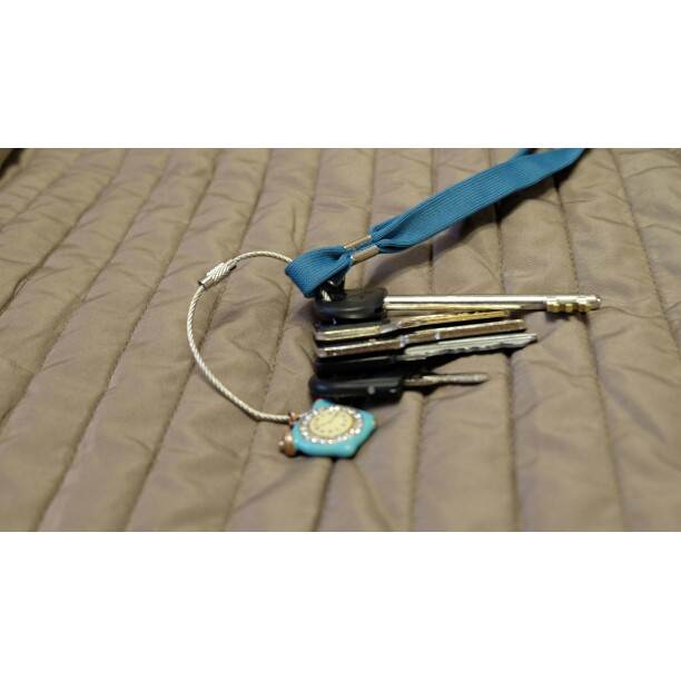 Wire Keychain Key Chain Gantungan Kunci Stainless Carabiner EDC tools