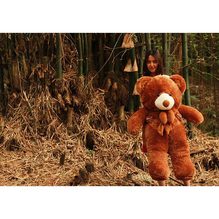 Boneka Beruang Teddy Bear Super Jumbo 120cm Cokelat