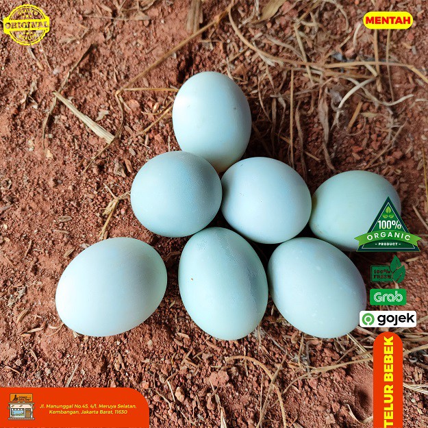 

RB Telur Bebek Mentah 15 Butir
