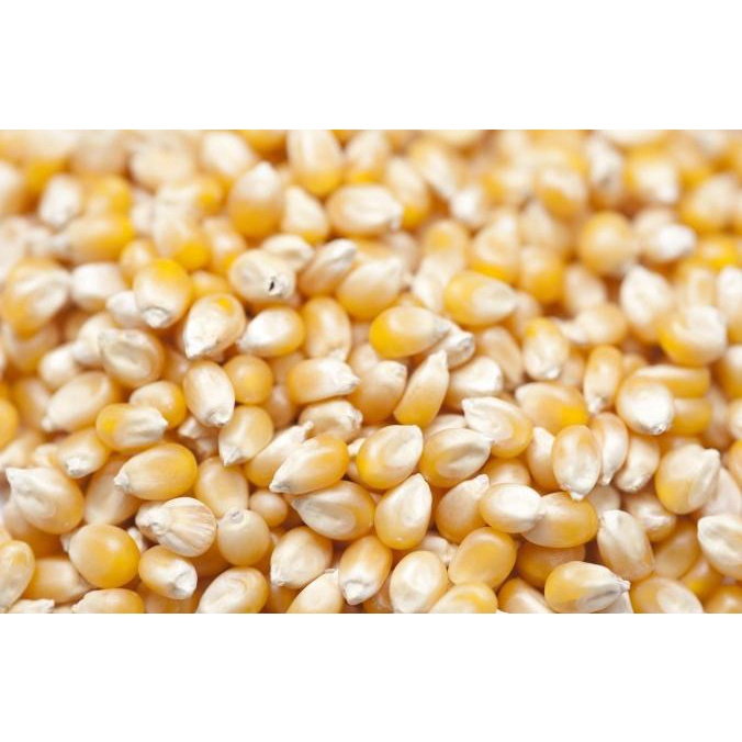 

Popcorn Kiloan Bikin Di Rumah Holiday Popcorn Crunch