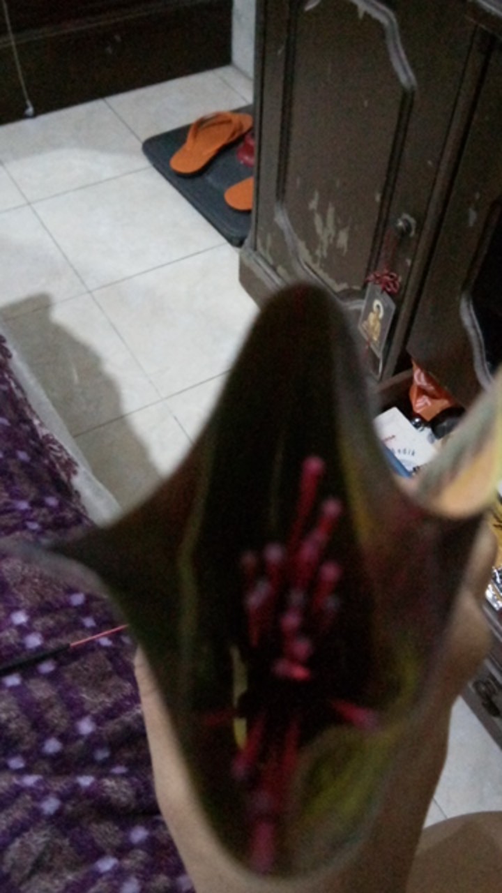 Dupa Hio Amber Renteng Isi 35 Batang By Darshan Life India