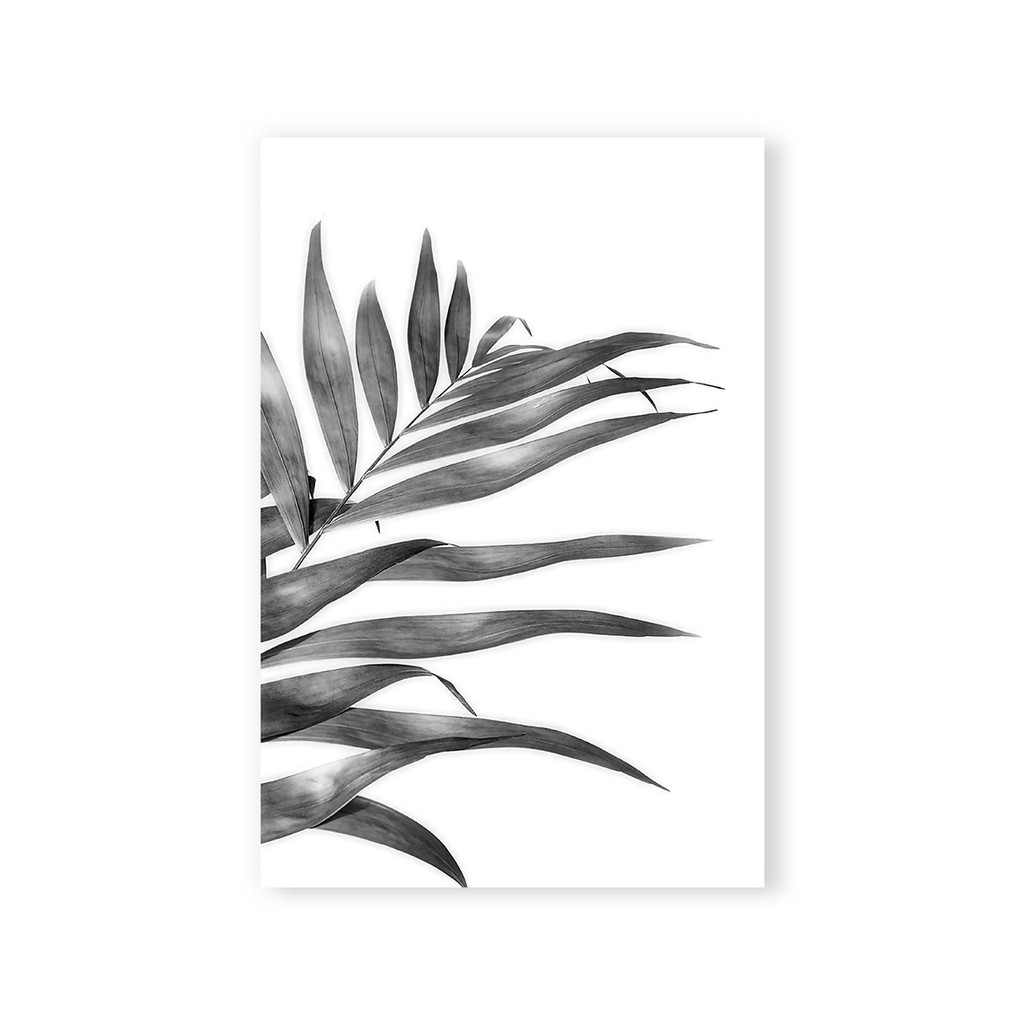 Hiasan Dinding Hiasan Kamar Wall Decor Leaf Monochrome - WD69