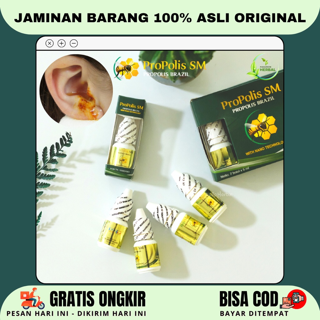 Obat Tetes Telinga, Obat Telinga Curek Congek Telinga Berair Bernanah - PROPOLIS SM Brazil ASLI