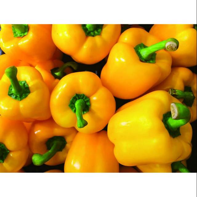 

Paprika kuning Grade A / 500gr sayur dan buah fresh , murah dengan kualitas terjamin