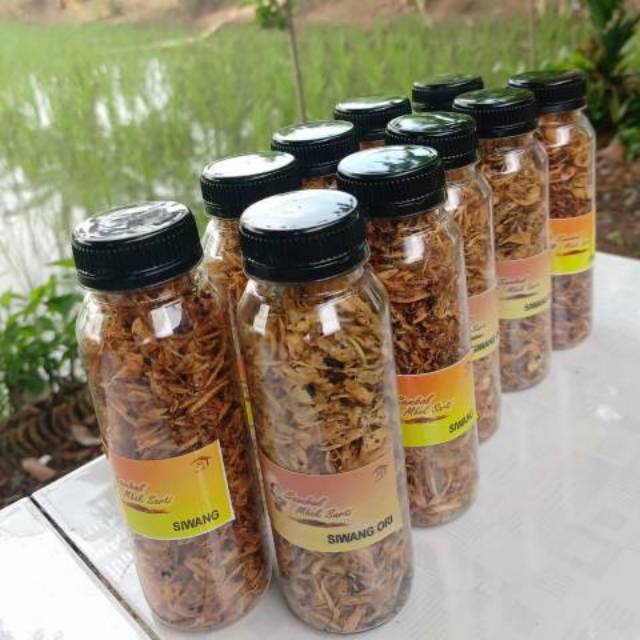 

SIWANG KHAS INDRAMAYU MBOK SARTI VARIAN ORIGINAL & PEDAS