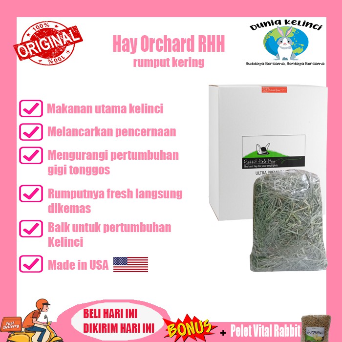 Hay Orchard 100gr Makanan Kelinci Rumput Kering Rabbit Hole Hay