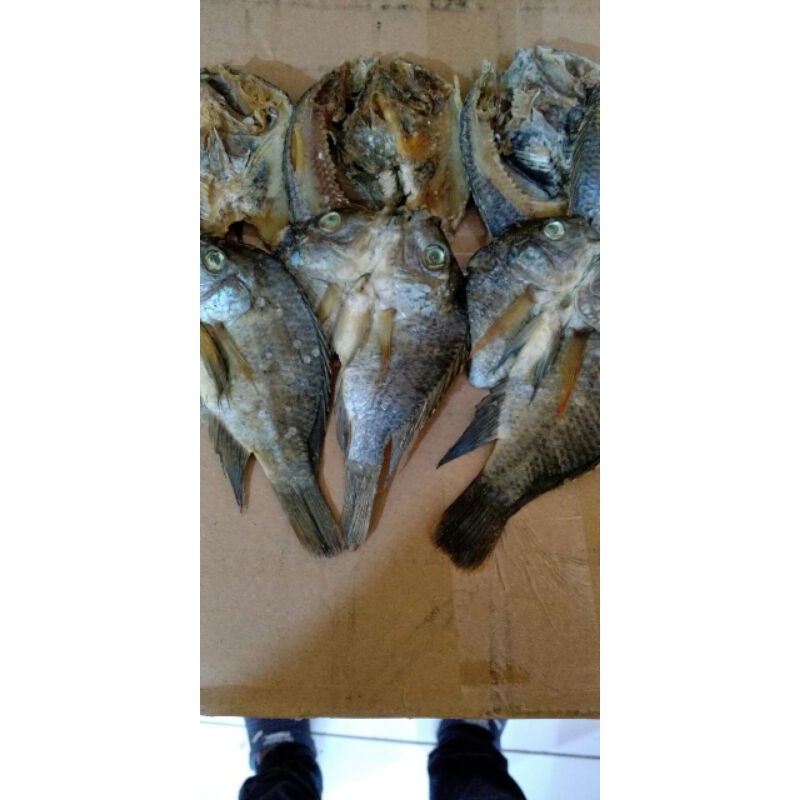 

ikan asin kering mujaher besar GROSIR /2ons