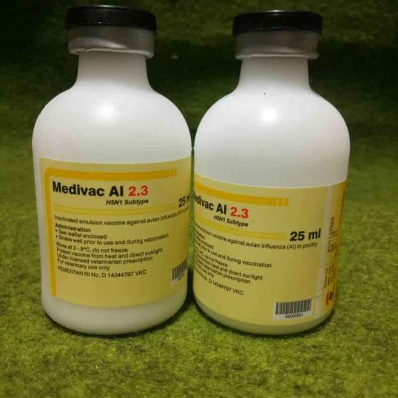 Vaksin anti flu burung / vaksin tetelo / ai 2 3