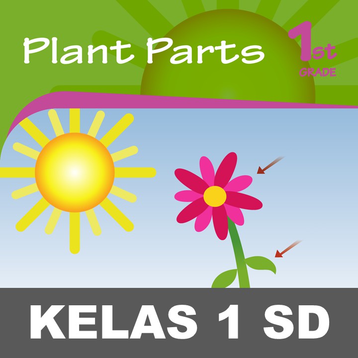 jual-plant-parts-buku-aktivitas-anak-sd-mengenal-gambar-menanam-tanaman