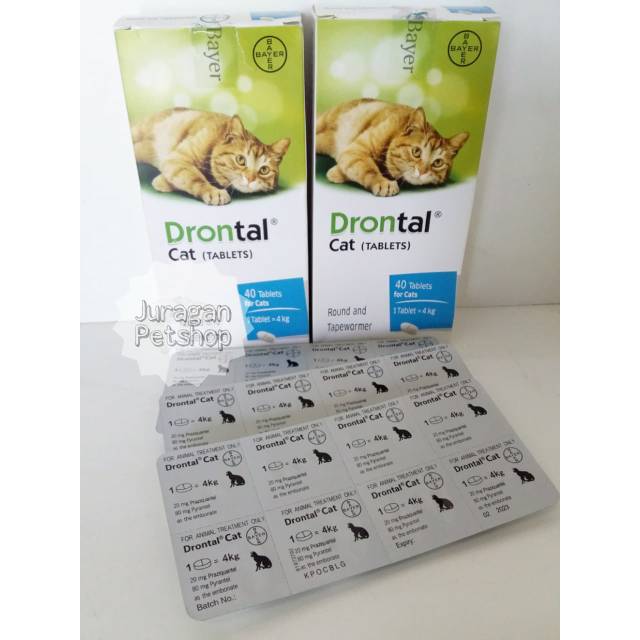 Drontal Cat|Obat Cacing Kucing 1 pil|Obat Drontal Bayer| | Shopee Indonesia