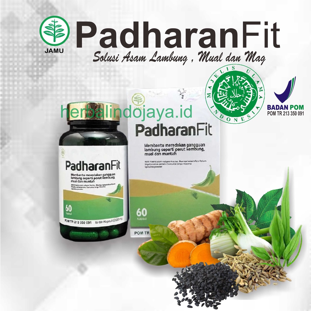 PADHARANFIT | HERBAL ALAMI ATASI ASAM LAMBUNG MUAL DAN MAG | OBAT HERBAL ASAM LAMBUNG | ATASI MUAL | PADHARAN FIT | PADHARANFIT-1