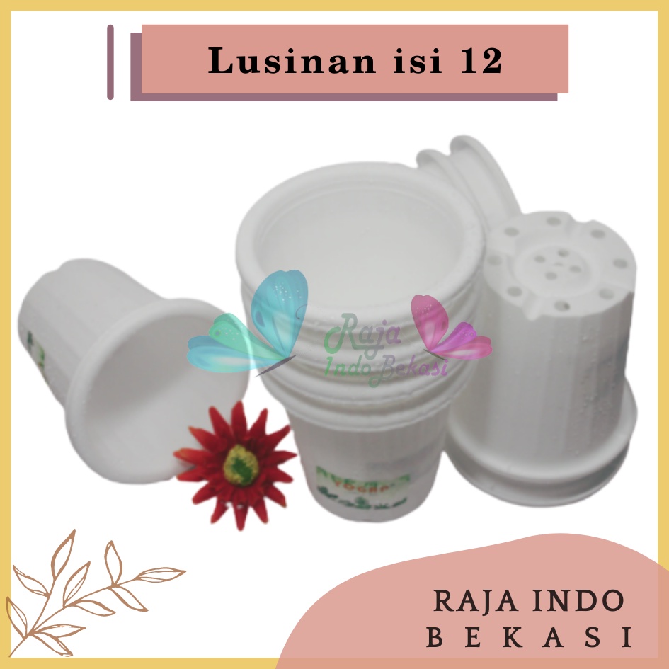 LUSINAN Pot Yogap 8