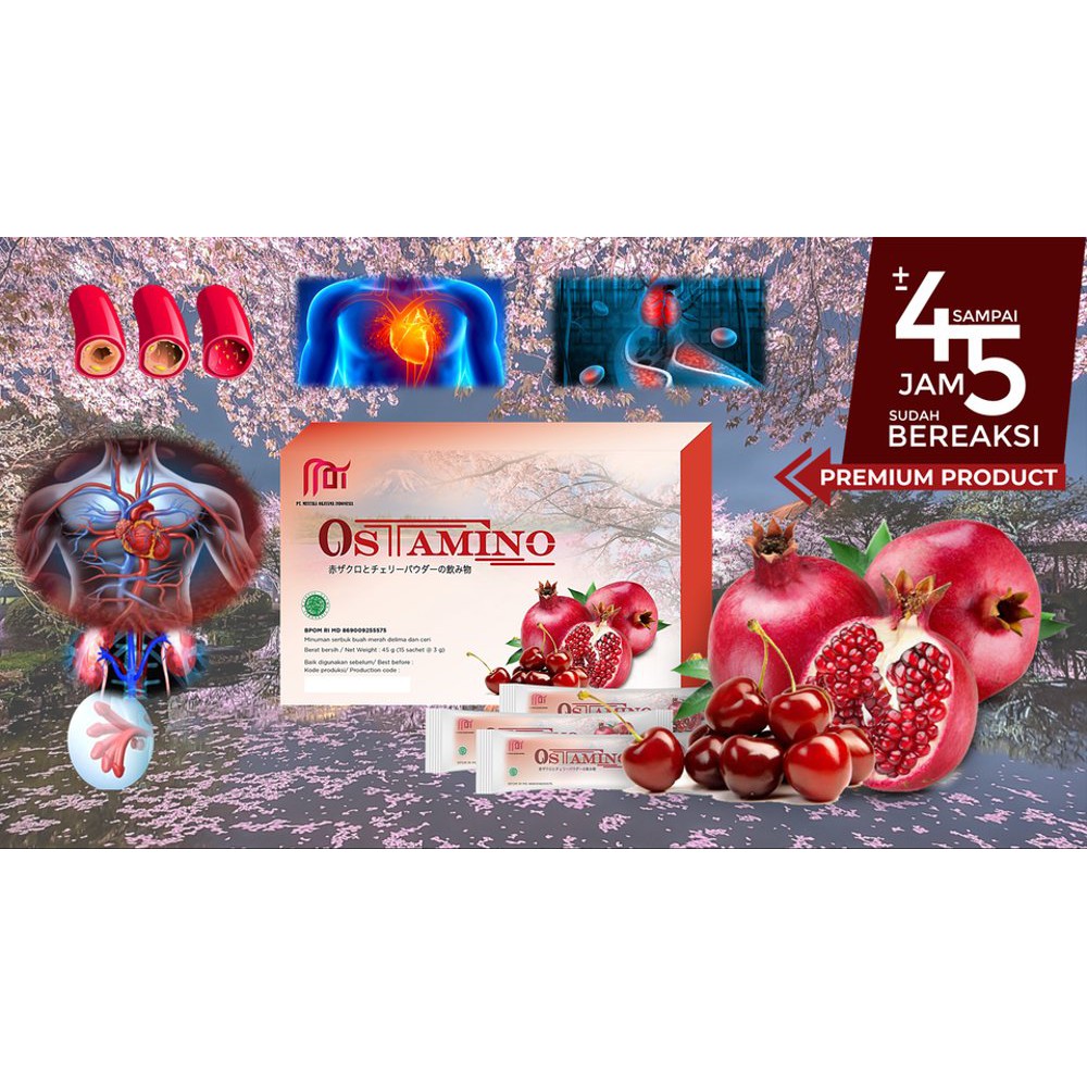 Ostamino /Minuman Stamina (1box = 15 sachet)