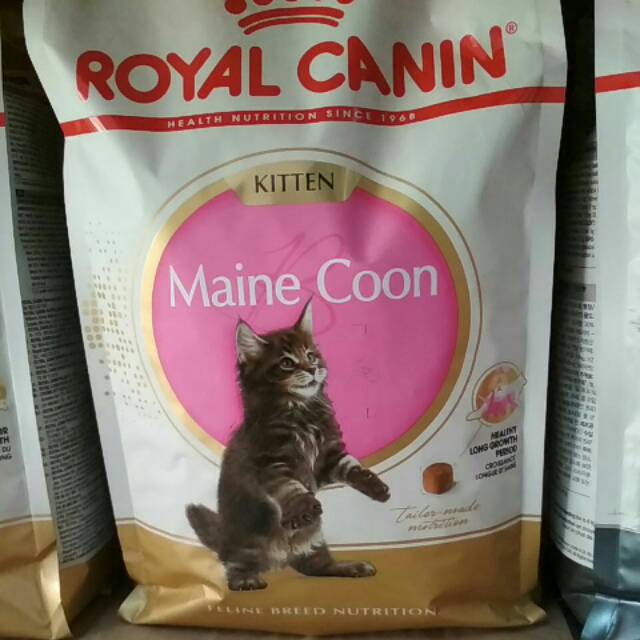 Royal Canin kitten mainecoon 2kg