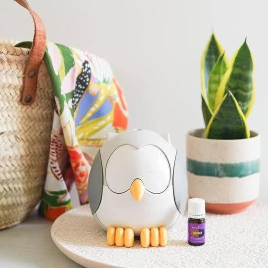 Young Living Owl Diffuser Termasuk 12 Paket Premium Oil 15 Ml Windaniati879