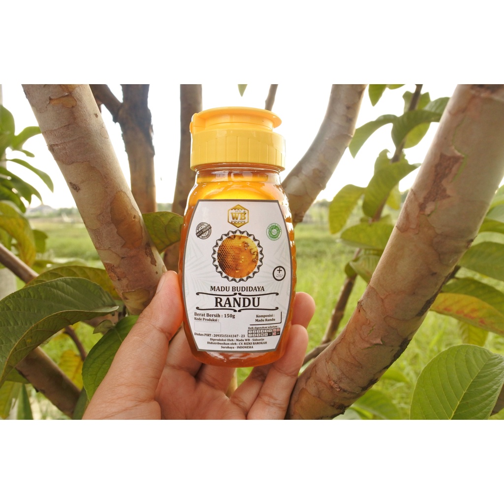 

Madu Randu - Madu Wild Bee - Kemasan Kecil