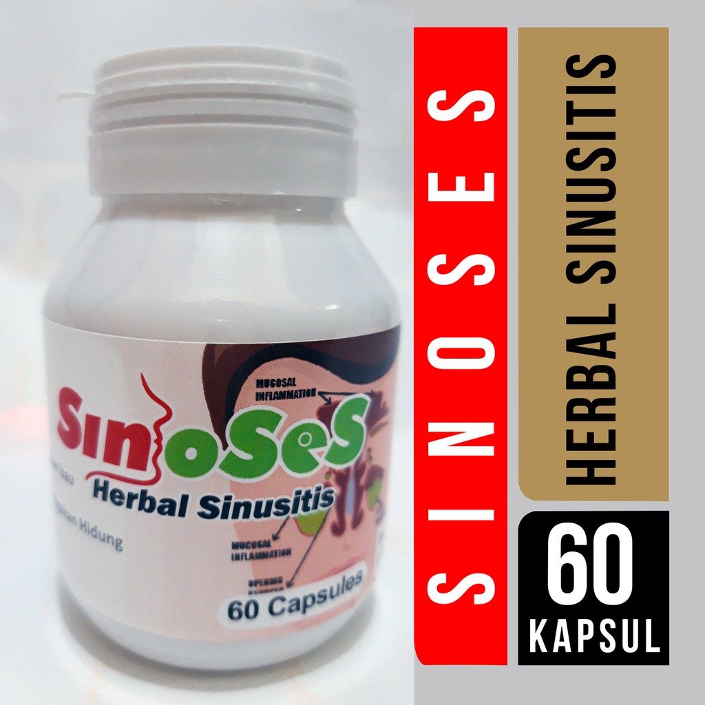 OBAT SINUSITIS 60 KAPSUL HERBAL OIL