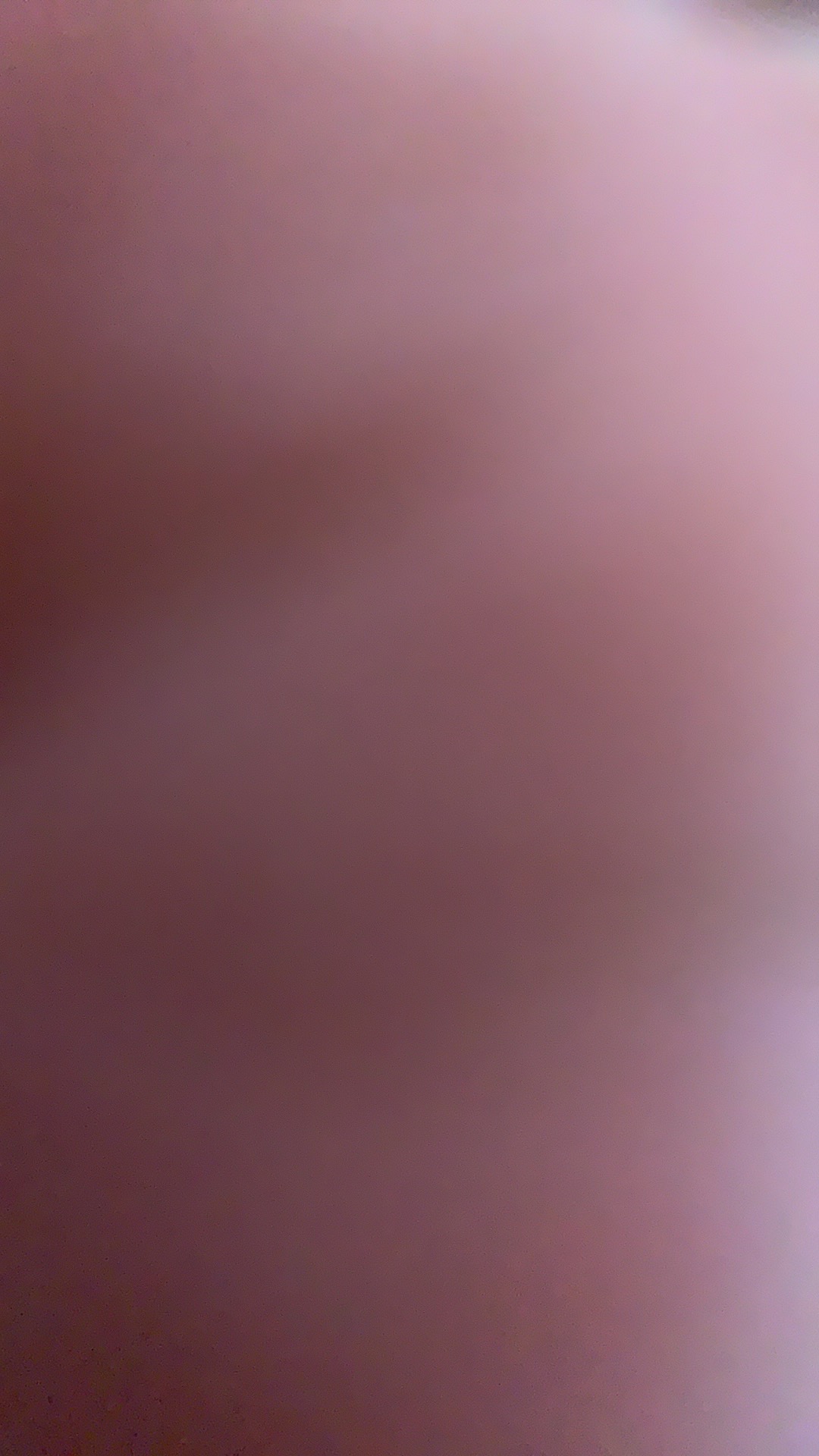 Polybag Ecer 10x10 15x15 20x20 25x25 30x30 40x40 18x18 Polibag Polibek