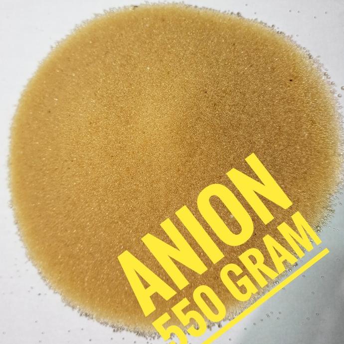 *****] Resin Anion