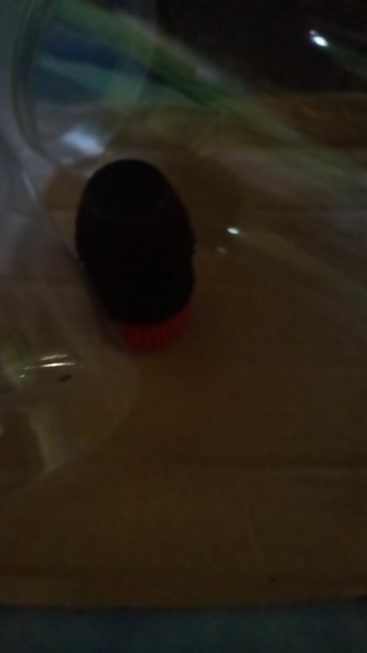 Toples Tabung Pet 650 Ml Untuk Snack Kue Kering Kripik [1 Pcs]