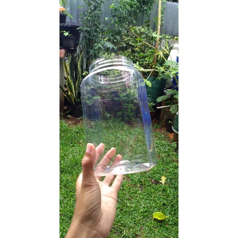 toples cupang 2lt tanpa tutup eceran, soliter cupang, aquarium cupang