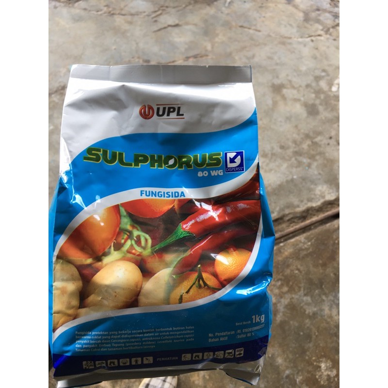 fungisida sulphorus belerang ukuran 1kg
