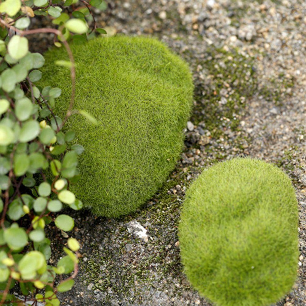 Suyo Mossy Stone Aksesoris Rumput Ornamen Peri Taman Simulasi Lumut