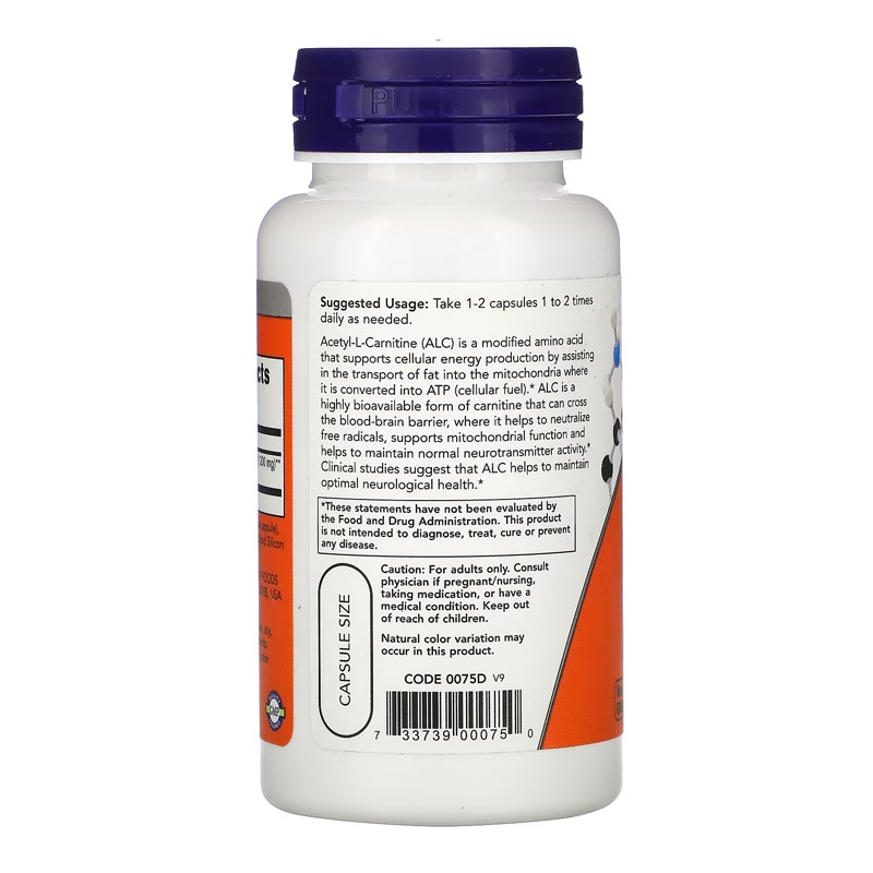 Now Acetyl L Carnitine 500 mg 50 VegCaps Now Food Acetyl L Carnitine