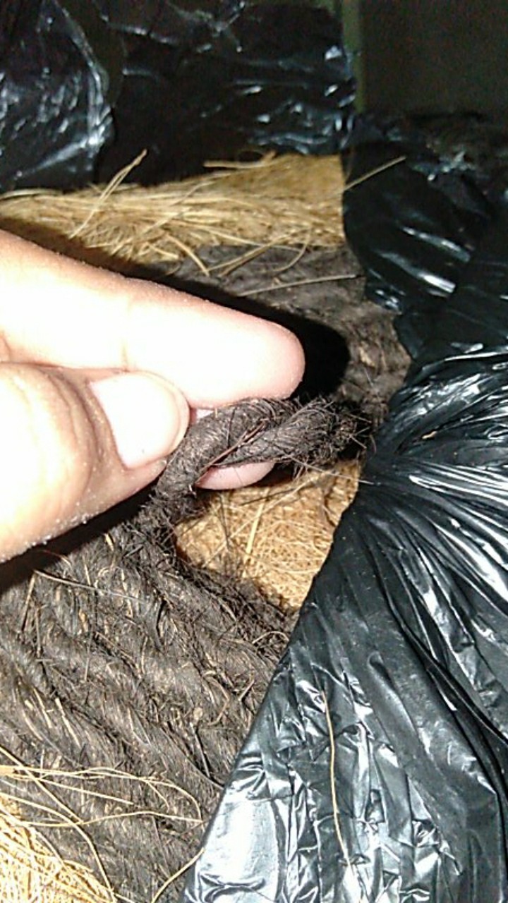 Tali Tambang Ijuk Sabut Tanaman Bercocok Tanam 20 M Ijuk Hitam Asli