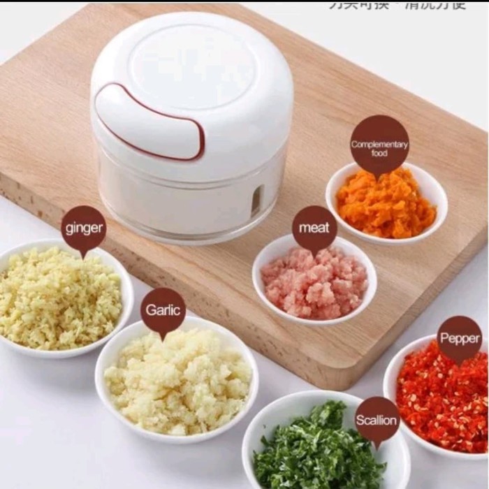 EM Blender Tangan Mini Pemotong Daging Buah Sayuran PRAKTIS-0