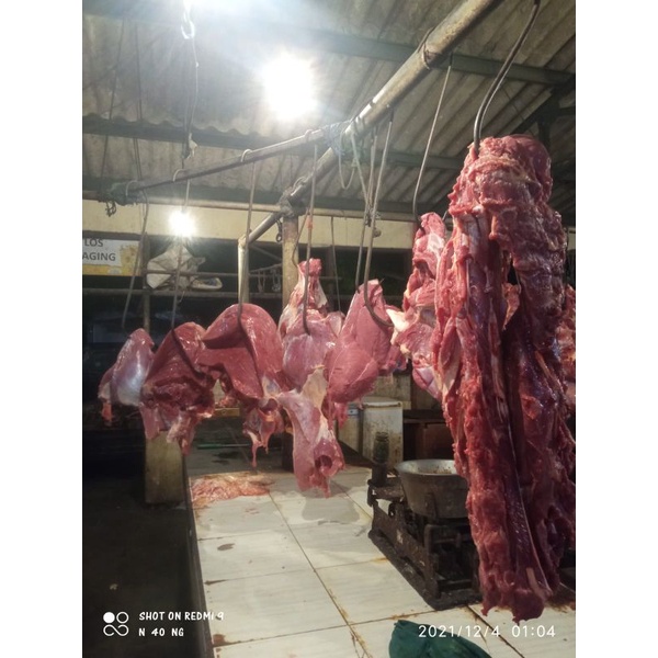 

daging sapi segar