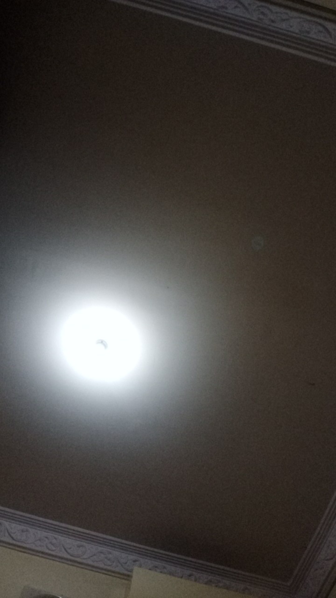 R020 Gantungan Sapu Pel Tanpa Pake Single Mop Hanger Suction Hanging