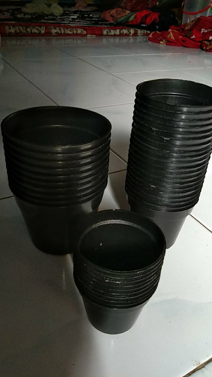 7 Cm Pot Bunga Plastik 7 Cm Pot Es Krim Plastik Baru Pot Hidroponikpot Bunga Plastik Pot Es Krim