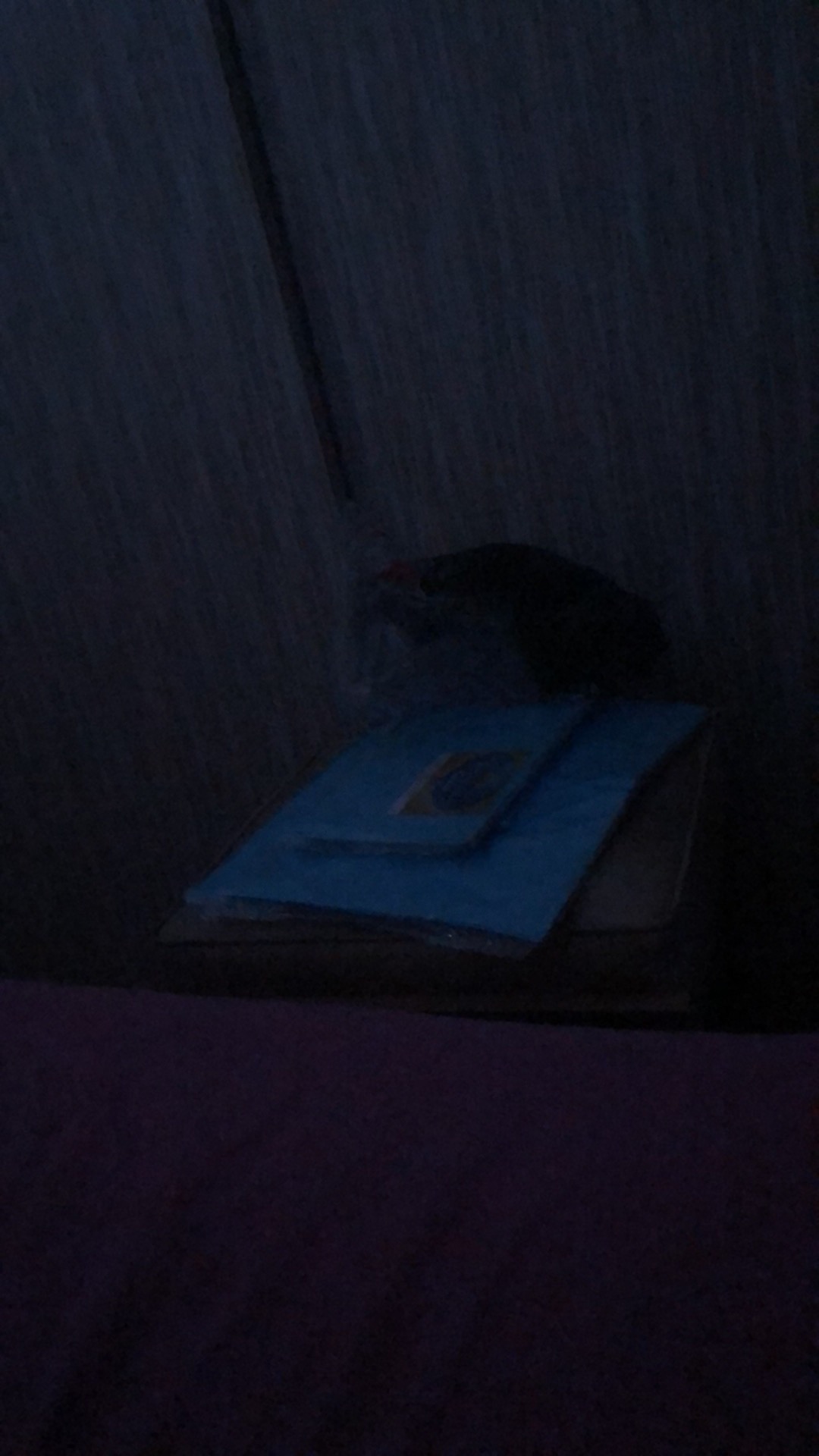 ( Isi 50 Lembar ) Kantong Kresek Olshop / Plastik Olshop Warna / Plastik Hd Pond Oval Uk 25x35