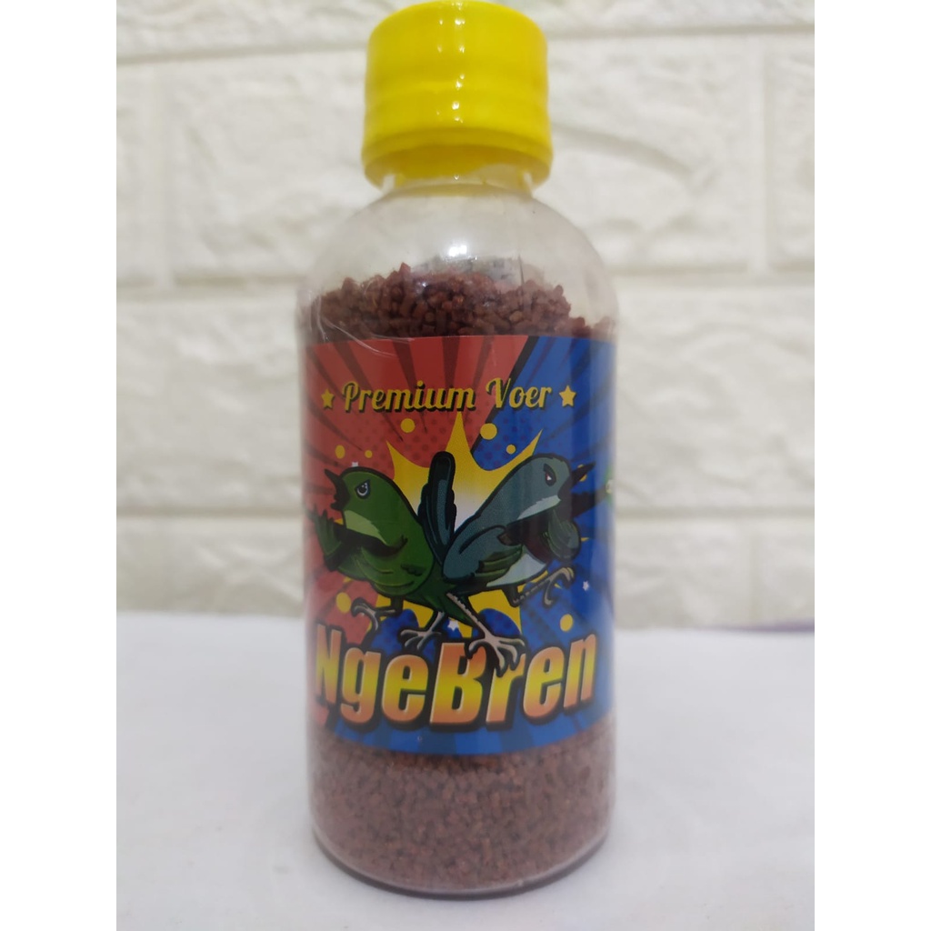 Ngebren Voer pakan lomba untuk burung ciblek pleci ebod jaya