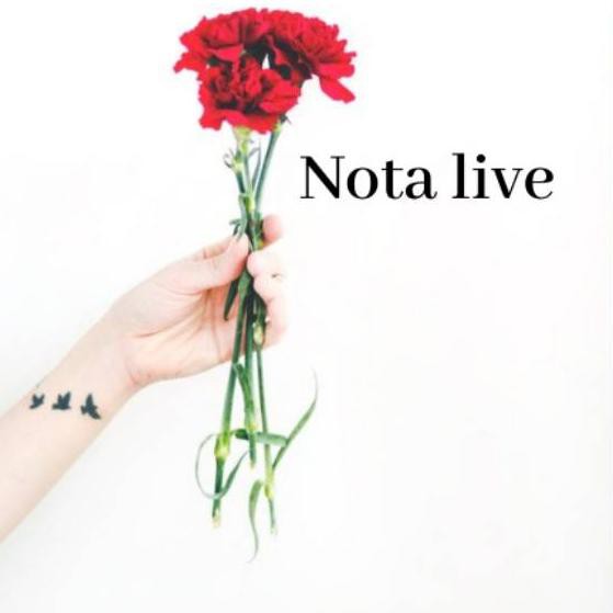 

Stok.bányák⭐ Nota live sekilo .,!